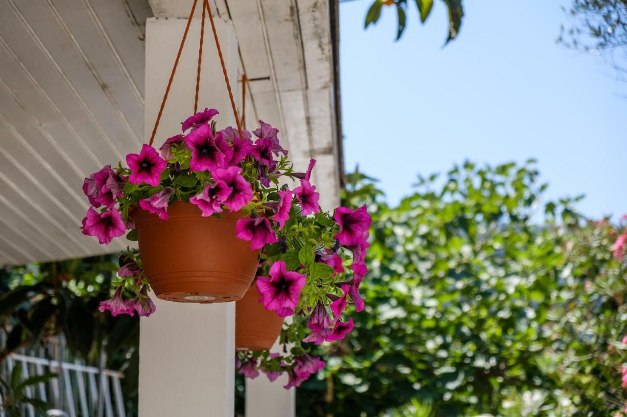 Cuore Di Milka Apartments Veli Lošinj Exteriör bild